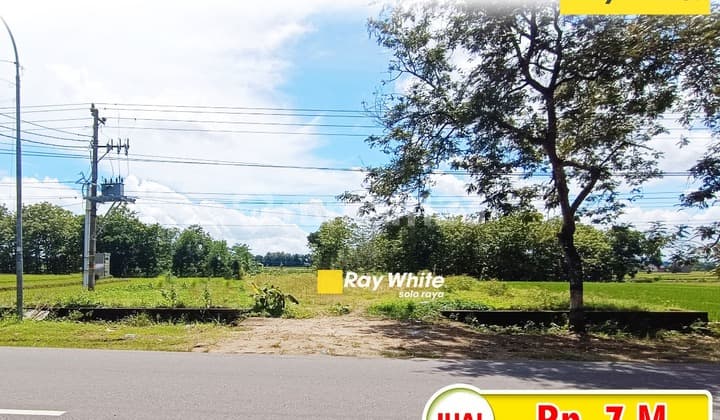 Dijual dan Disewakan Tanah Jalan Utama ke Tawangmangu, Karangpandan