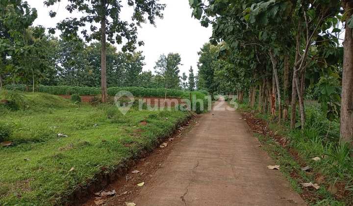 Tanah Murah di Pedesaan Sejuk Tawangsari, Kerjo, Karanganyar