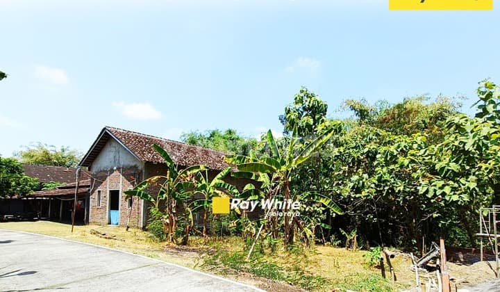 Kavling Luas Dijual, Cocok Untuk Investasi di Jeruksawit Boyolali