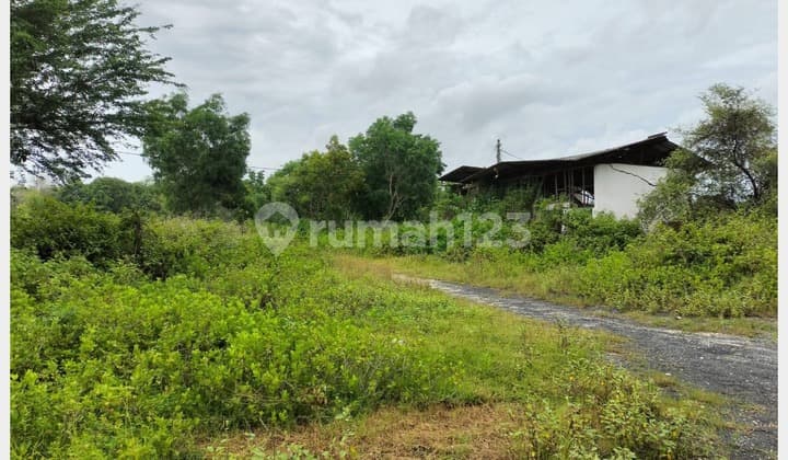 Murah Tanah Bonus Gudang, Nol Jalan Raya Nasional, Jenu, Tuban