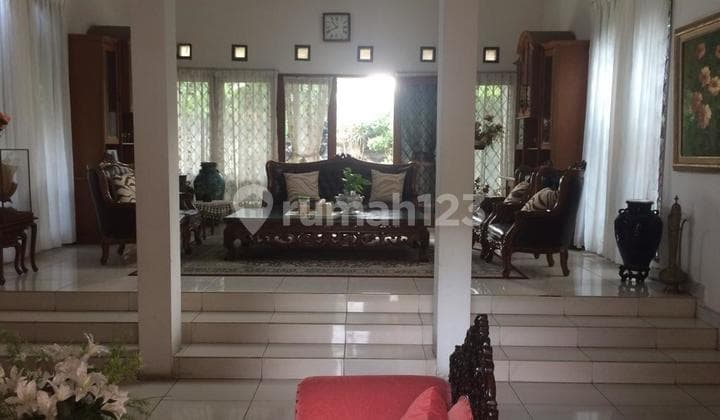 Rumah Asri Dengan Halaman Luas Terletak di Perkotaan