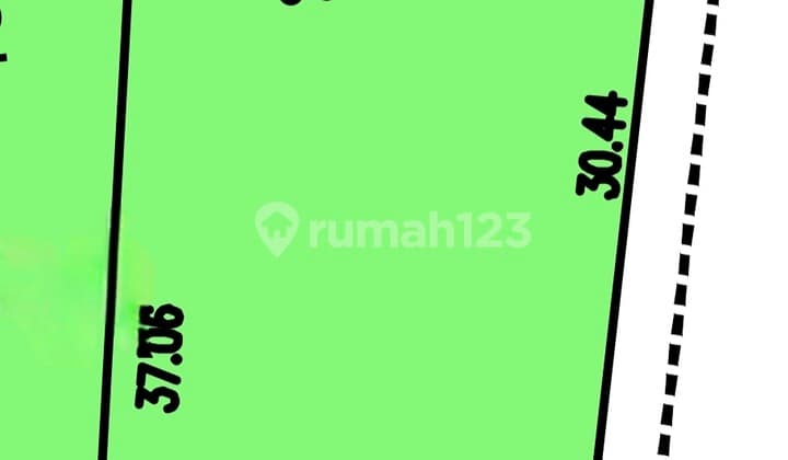 9.54M Foresta Plot Body 569M2 with 3 Views