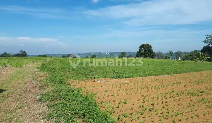 Cisarua Bogor 19Ha Land Tourism Investment 185M