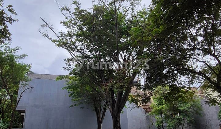Foresta Plot Corner Lot 469m2 North-east 17 million