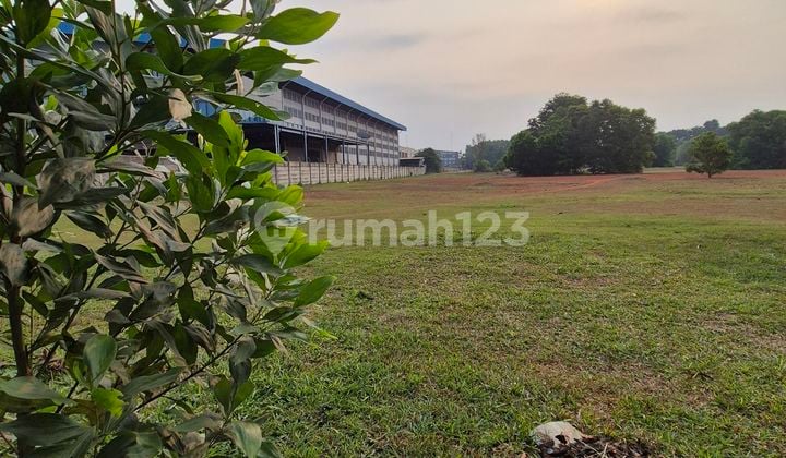 Tech Friend Plot Wide Body 5,493m2 Facing Tinur 15 Million