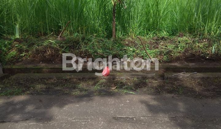 TANAH KAVLING DI KEDUNGKANDANG MALANG