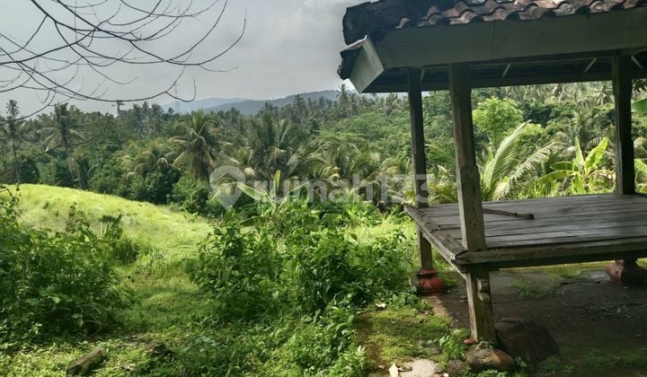 Tanah murah deket pantai soka dan balian beach, lingkungan tenang dan nyaman