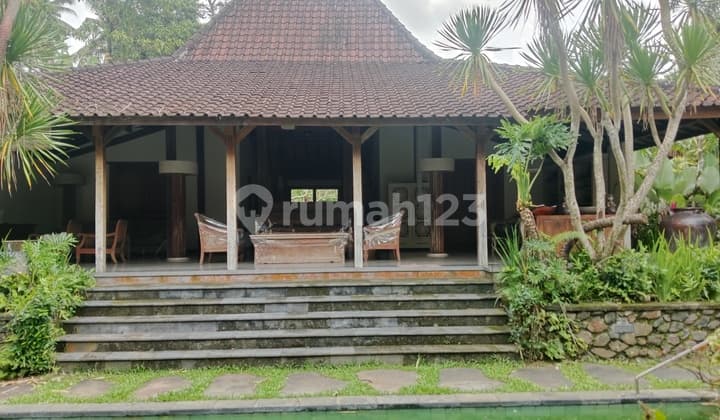 Vila Joglo Klasik Diubud