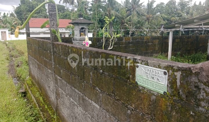Tanah Murah Siap Bangun,cocok Buat Vila Diubud