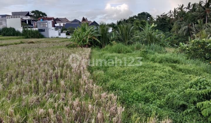 Tanah Siap Bangun Vew Sawah Hutam Diubud