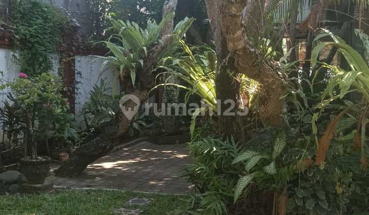Rumah Klasik Disanur