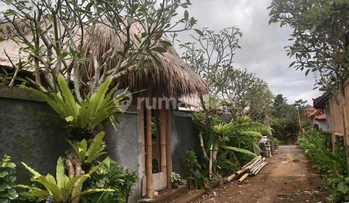 Abstract villa needs renovation, comfortable environment in Ubud
