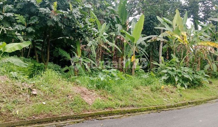 Tanah Langka Siap Bangun Lingkungan Nyaman Di Ubuddi Unud