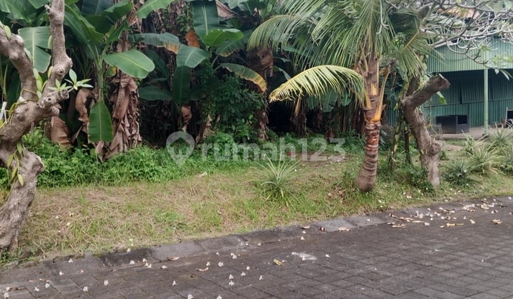 Premium Plots Near the Beach at Affordable Prices