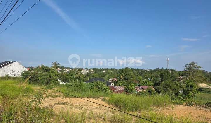 Dijual Tanah 2.5 Ha di Jl. Kelapa - Hangtuah