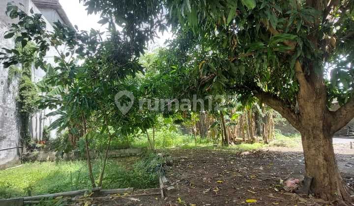 Dijual Cepat Rumah Walet Plus Tanah Luas di Pinggir Jalan Raya Babelan Bekasi