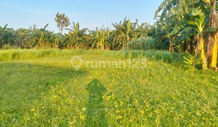 Tanah Idaman Banyak Untung Harga Terjangkau Sudah SHM Dijual di Kebalen Teluk Pucung Bekasi Utara