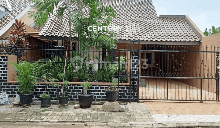 Rumah Baru Renovasi Siap Huni Disewakan di Anggrek Loka BSD City