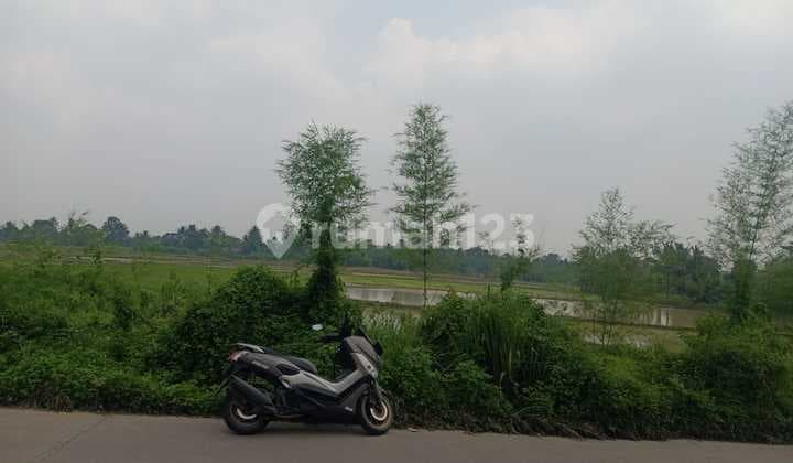 For Sale 8 Hectares of Land in Kopo Village, Maja, Serang, Banten.
