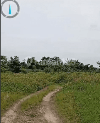 Tanah Kosong Murah di Legok Tangerang