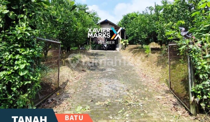 Tanah Kebun Produktif Ready Takeover Luas di Bumiaji Batu