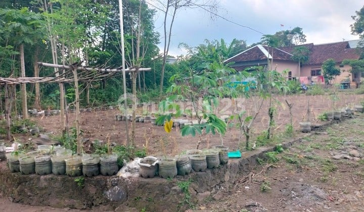 SHM Land 1,568 Square Meters in Candirejo Ngaglik Sleman - Suitable for Residence & Investment