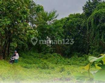 Tanah Luas 372 Meter Persegi Lokasi Strategis di Area Nogotirto Gamping Sleman
