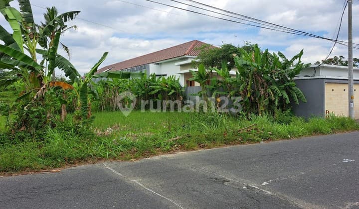Tanah Luas 3122 Meter Persegi Lokasi di Jalan Palagan Donoharjo Ngaglik Sleman