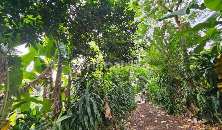 Cimanggis Land, Bogor, West Java