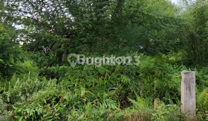Kavling Huk Luas Cocok Dibangun Perumahan Dipinggir Jalan Bunga Mawar Medan