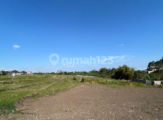 Tanah Kavling Murah View Sawah Di Tabanan