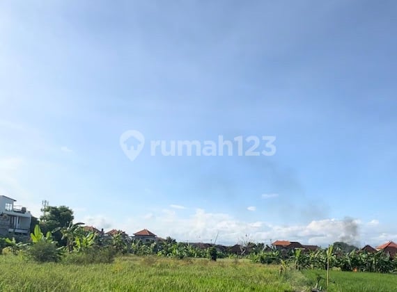 tanah kavling exclusive di kesiman kertalangu, denpasar