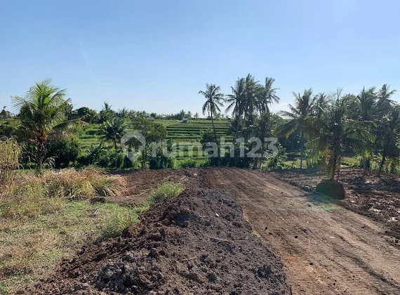 Tanah kavling exclusive di abiansemal dekat ke ubud