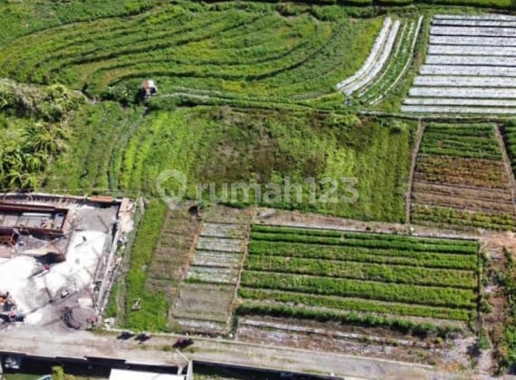 tanah kavling exclusive di jalan gunung salak kerobokan