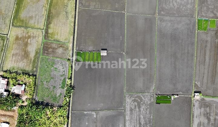 Tanah Ekslusive Di Pemecutan Klod Denpasar Barat