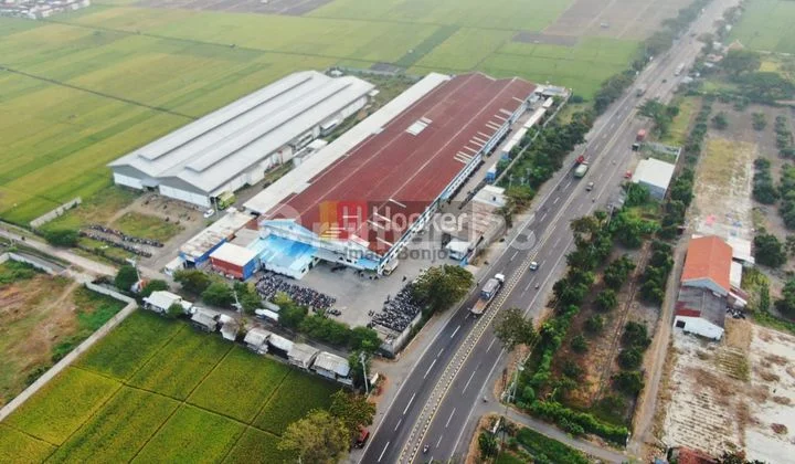 Dijual gudang siap pakai zona industri Pemalang Jawa Tengah 8139 Dijual gudang siap pakai zona industri Pemalang Jawa Tengah 8139