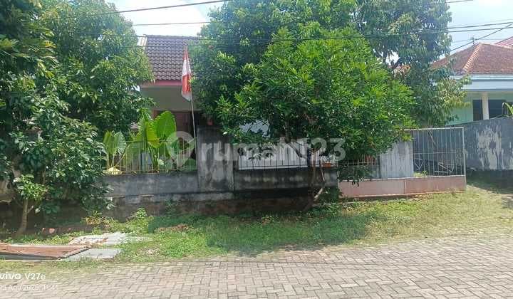 Dijual rumah 1 lantai kalipancur semarang barat 10590