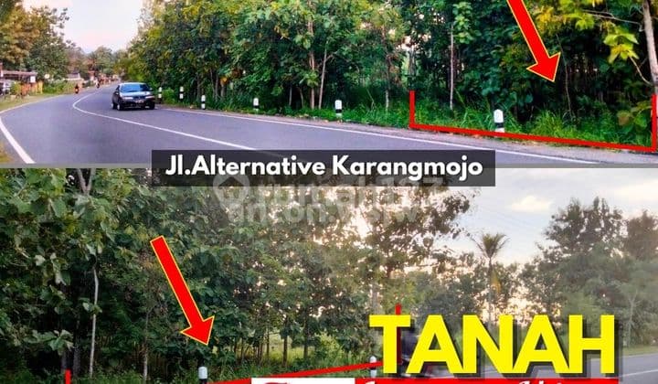 Tanah Murah Gading Tepi Jl. Alternative Karangmojo SHM Lt 546 M2