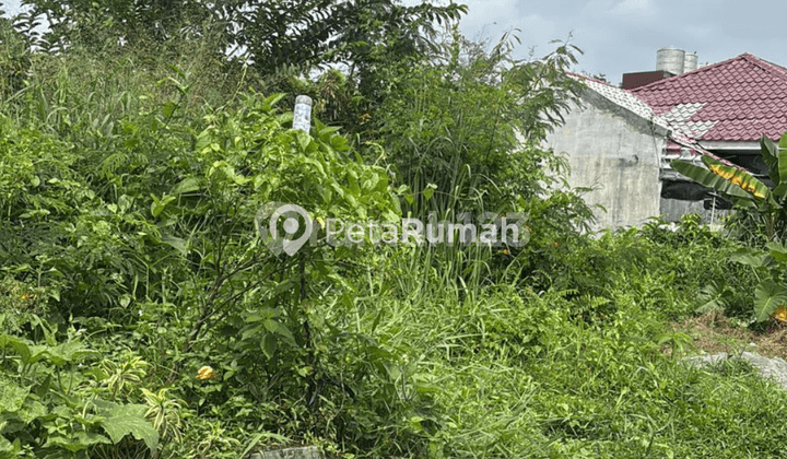 Dijual Tanah Jalan Bunga Pancur Gang Tarigan