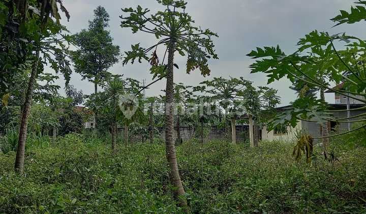 Jual Tanah Di.cianjur