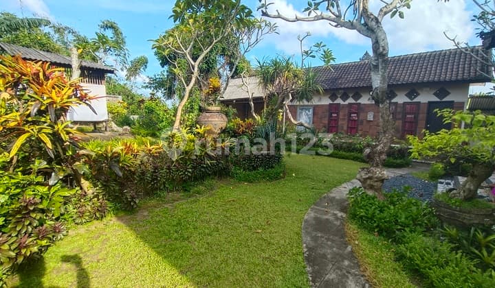 Di Jual Tanah dan Bangunanhalaman Luas