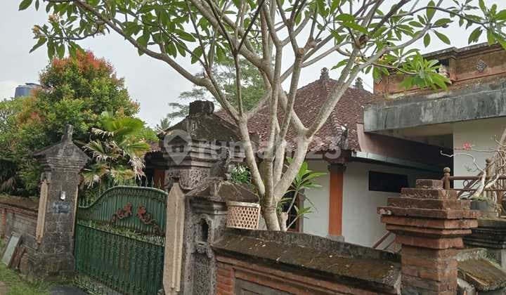Di Jual Tanah Bonus Rumah Petulu Ubud-tirtatawar