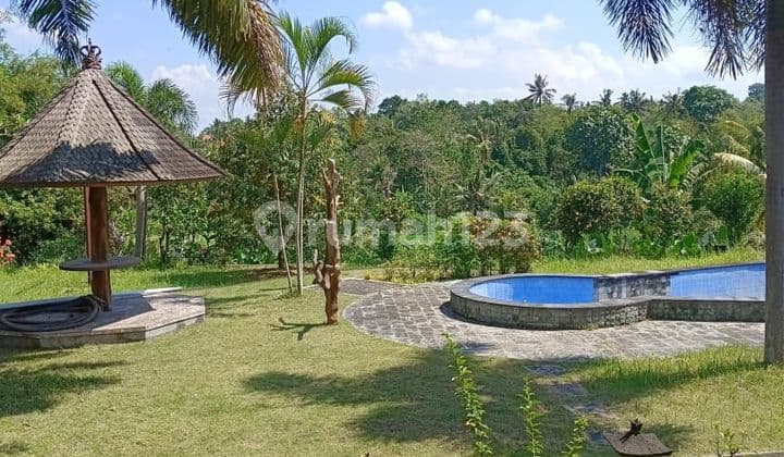 Di jual Villa lantai 1 halaman luas view sawah