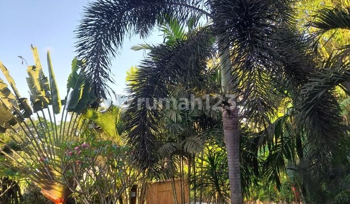 Villa for sale saba beach