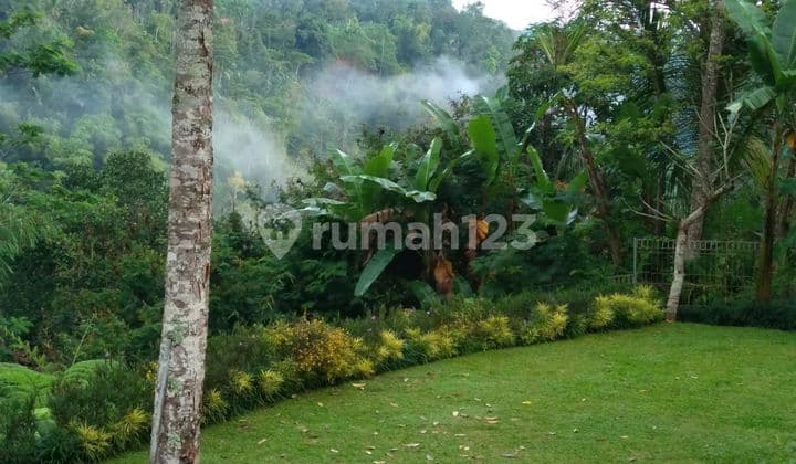 Di jual villa etnik joglo nice view