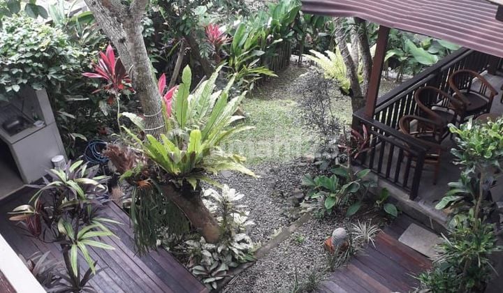 Villa los sungai jungle and sawah Ubud