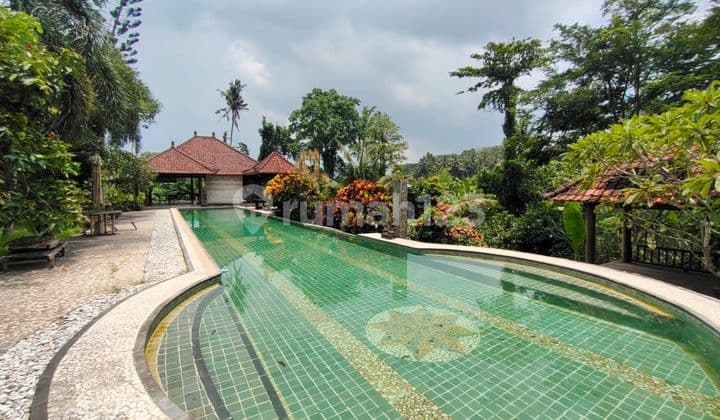Balinese Ethnic Villa with Rice Field View Near Ubud