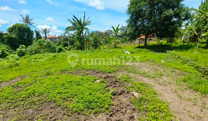 Kemenuh Land Ubud
