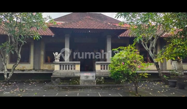 For Sale: Mas Ubud Gallery, Asphalt Roadside