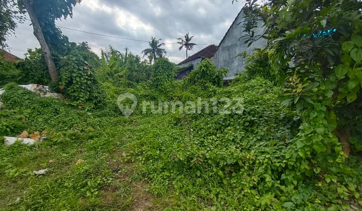 Di Jual Tanah Sukawati Dekat Ubud Tanah